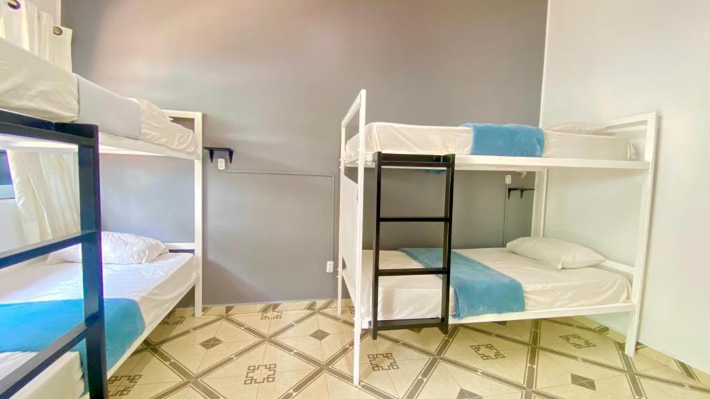 Alto Guest house Mexico City