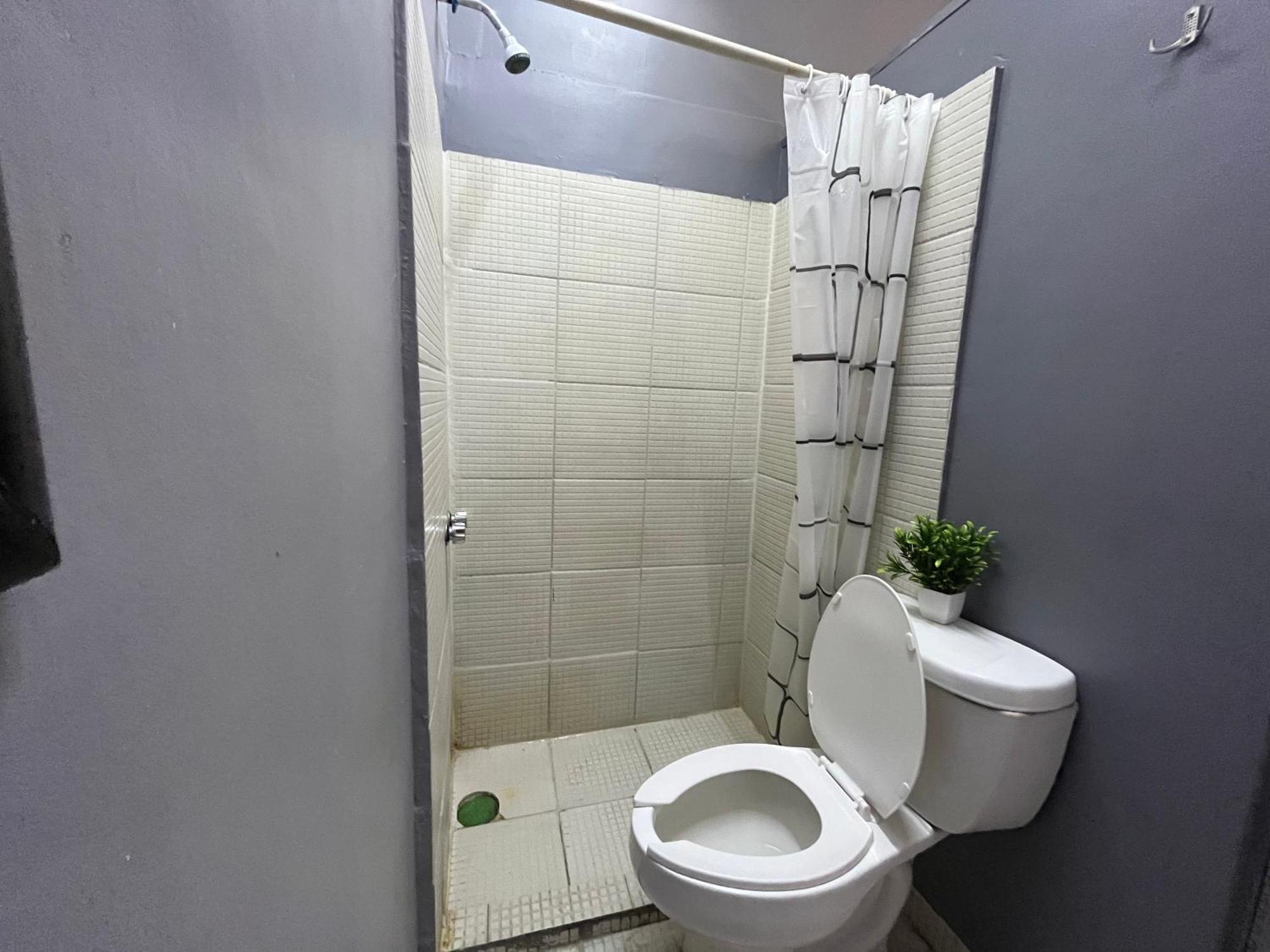 Guest house Alto